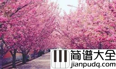 春天，樱花和你_钢琴谱__Epitone_Project｜人若如花，不枉一生芳华