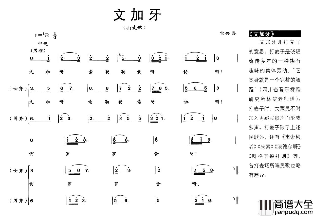 文加牙简谱_打麦歌