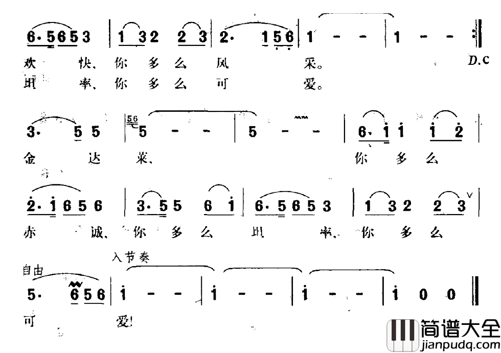 心系海洋简谱_王健词_钟立民曲