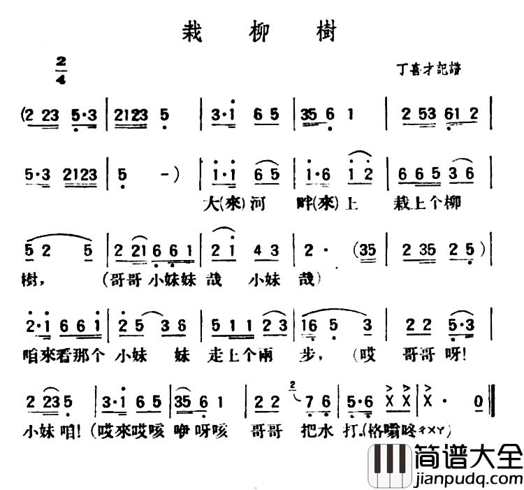 栽柳树简谱_陕北榆林小曲