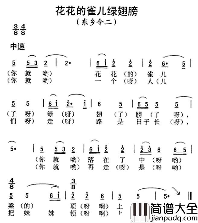 花花的雀儿绿翅膀简谱_