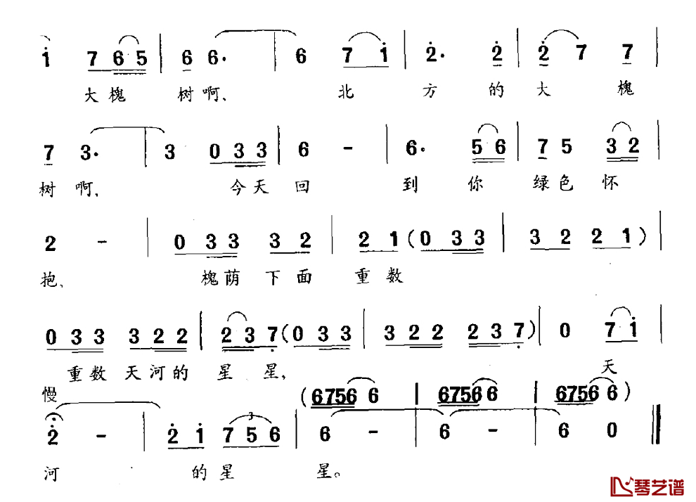 北方的大槐树简谱_黎琦词_陈枫曲