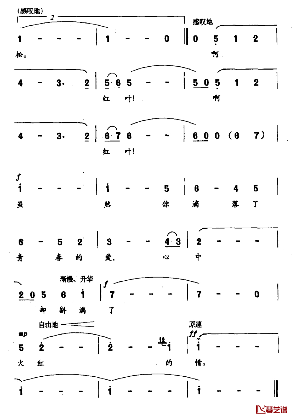 枫叶颂简谱_陈克正词/江一舟曲