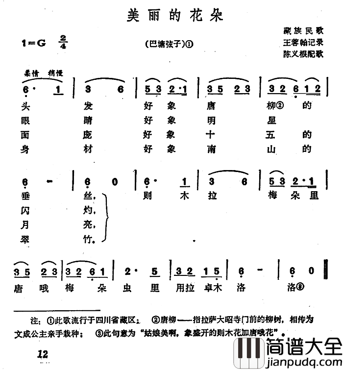 美丽的花朵简谱_巴塘弦子