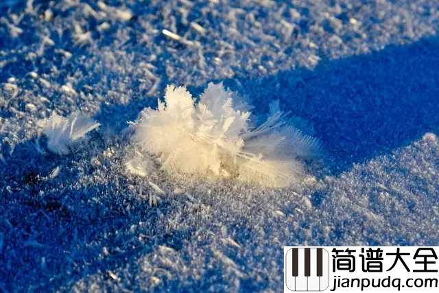 雪绒花简谱__Bill_Lee;Charmian_Carr___且行且珍惜的旅途