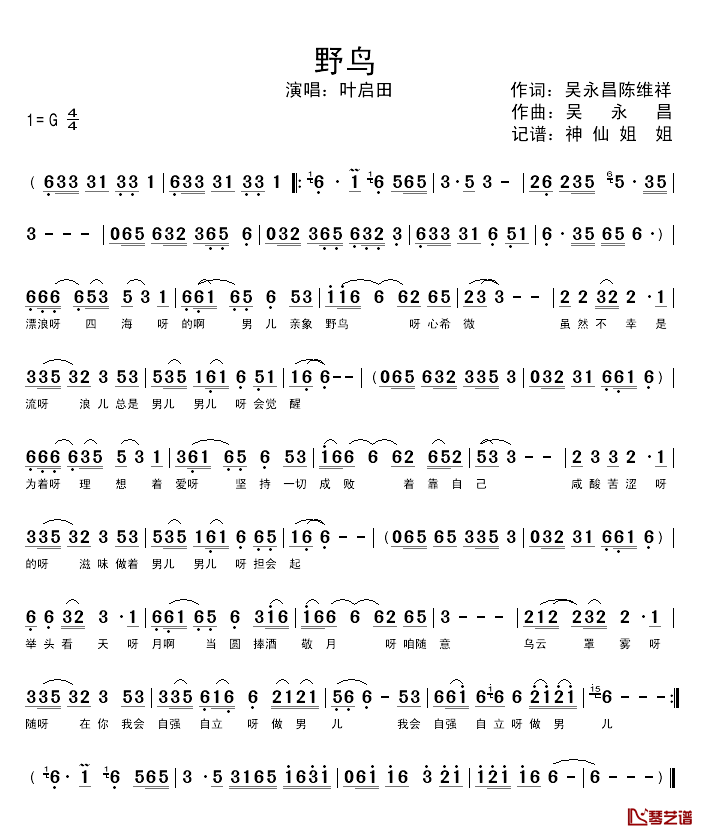 野鸟简谱_闽南语演唱叶启田_