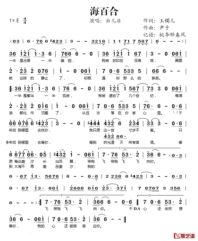 海百合简谱(歌词)_云儿非演唱_桃李醉春风记谱