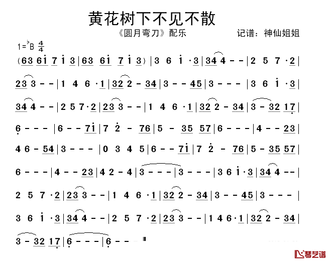 黄花树下不见不散简谱__圆月弯刀_配乐