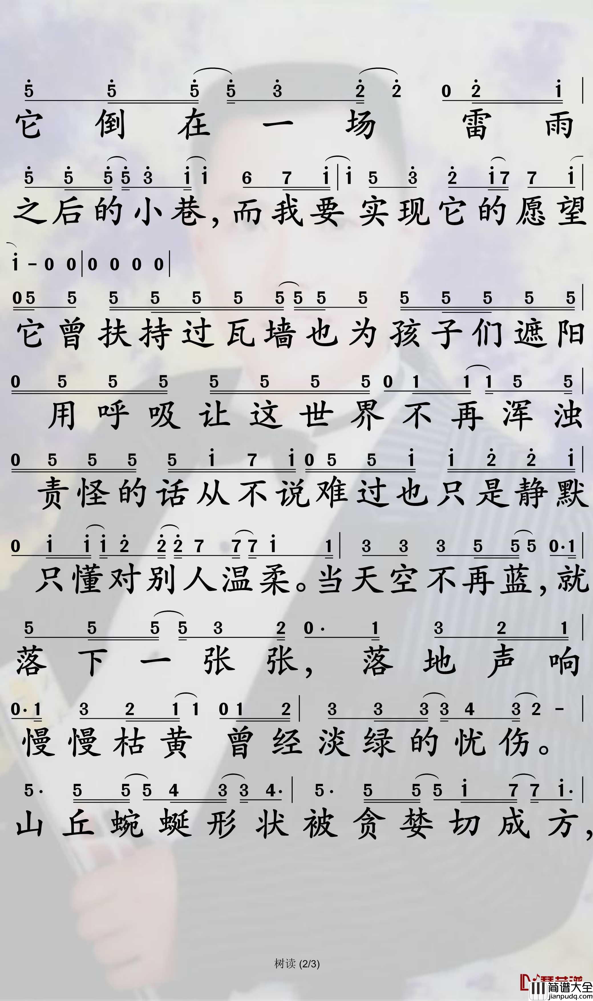 树读简谱_王俊凯歌曲_孙世彦曲谱