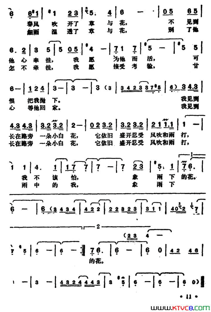 雨下的花朵简谱_邓丽君演唱_文采/猪俁公章词曲