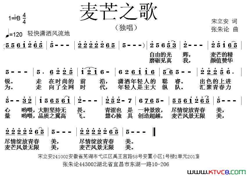 麦芒之歌简谱