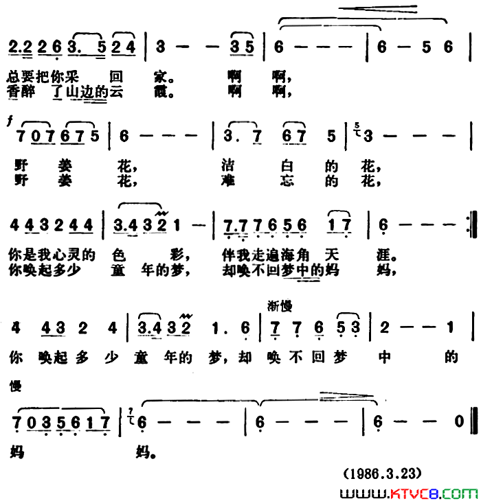 野姜花简谱