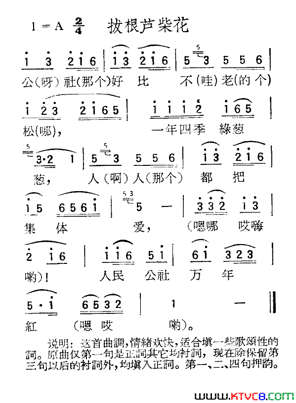 拔根芦柴花苏北小调简谱