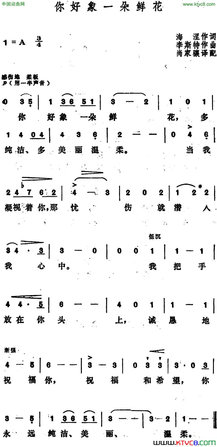 [匈]你好象一朵鲜花简谱