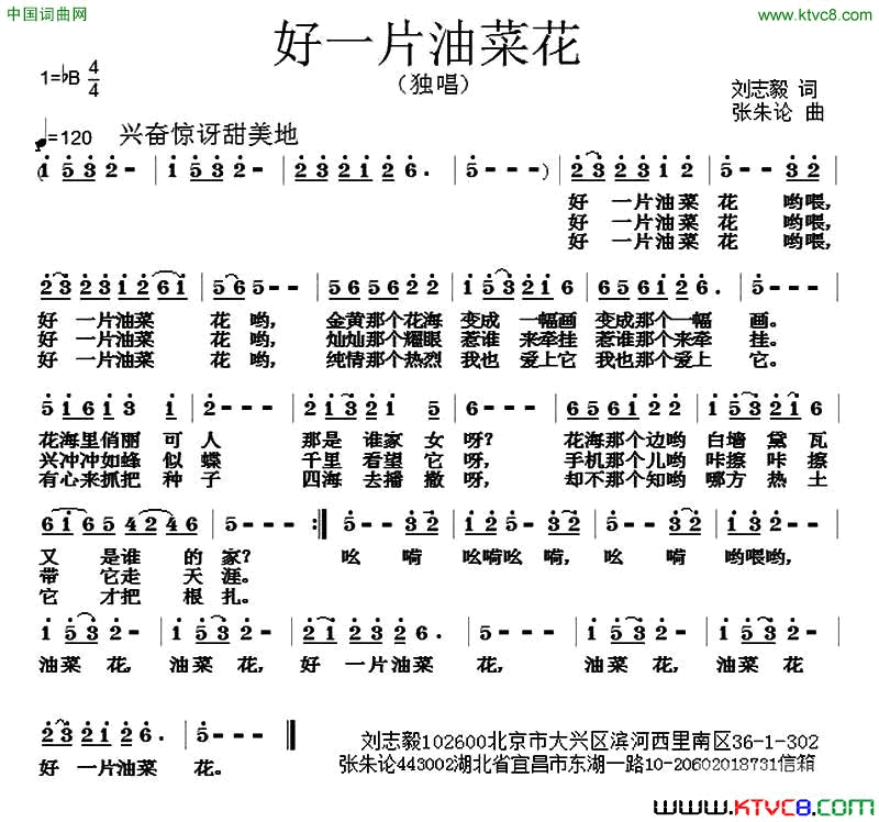 好一片油菜花简谱