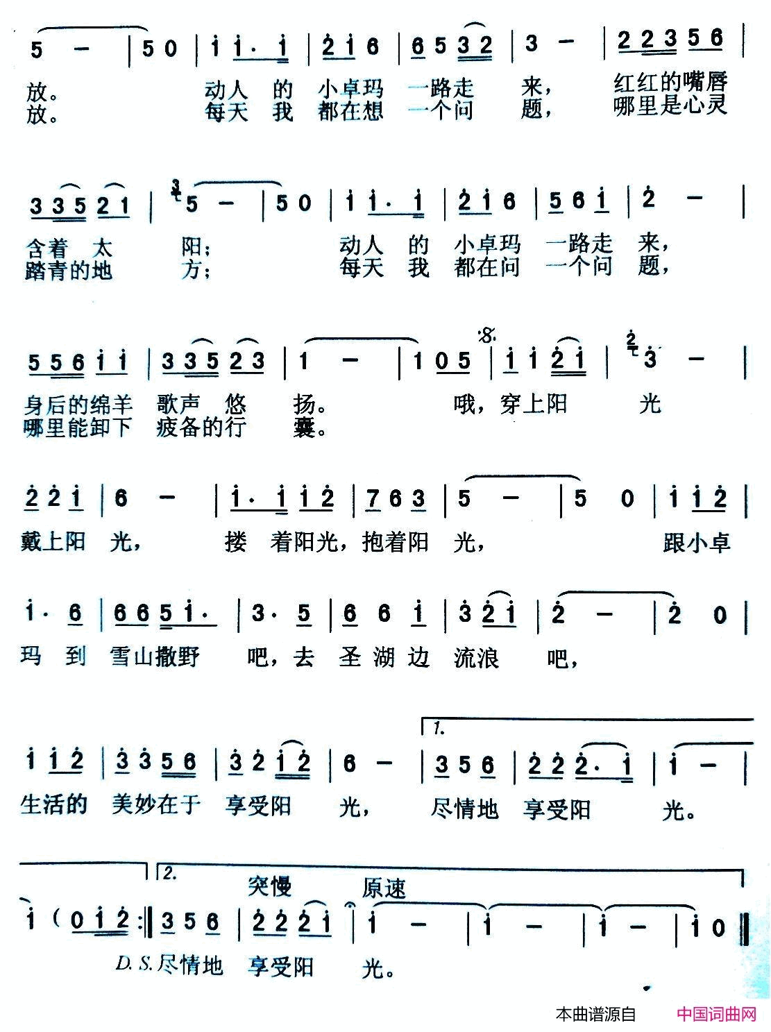 享受阳光简谱