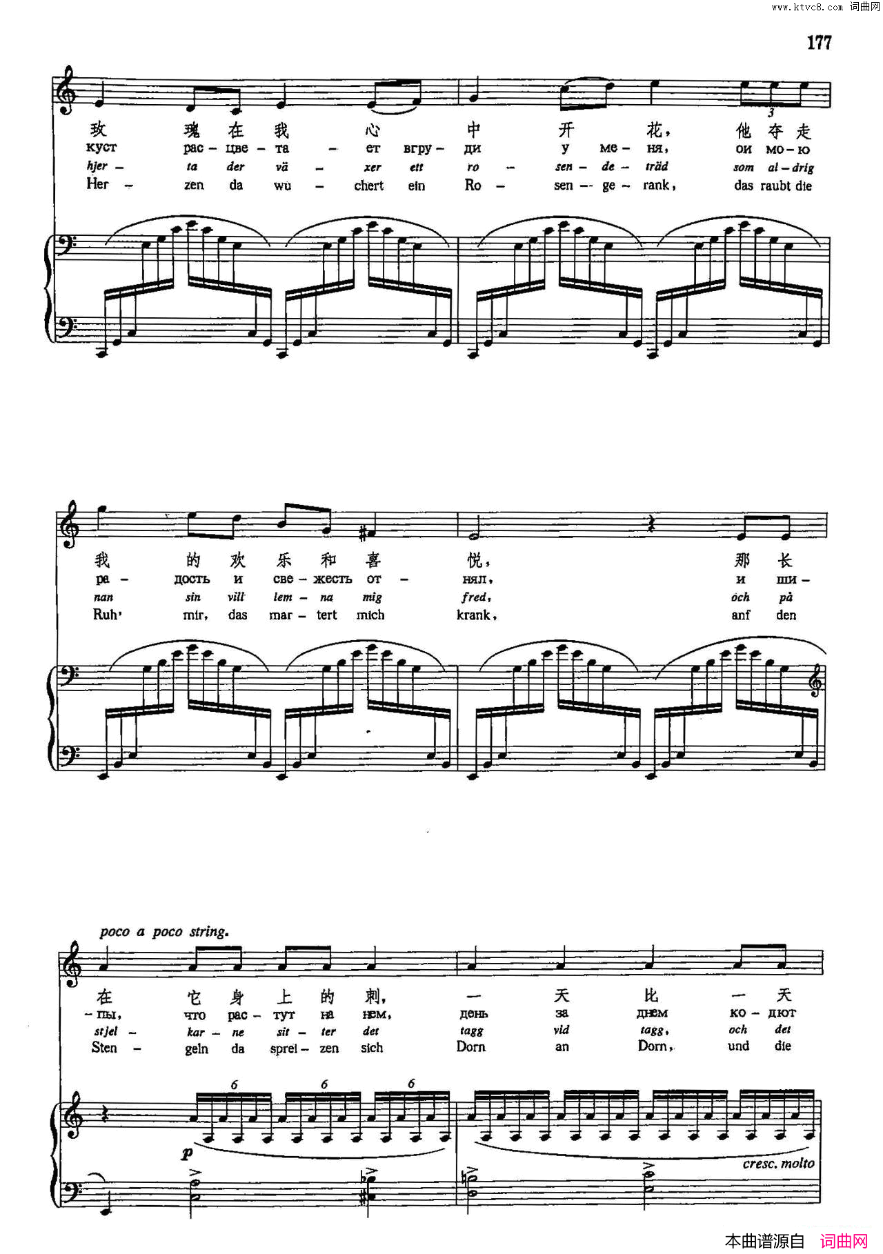 黑色的玫瑰声乐教学曲库5_40正谱简谱