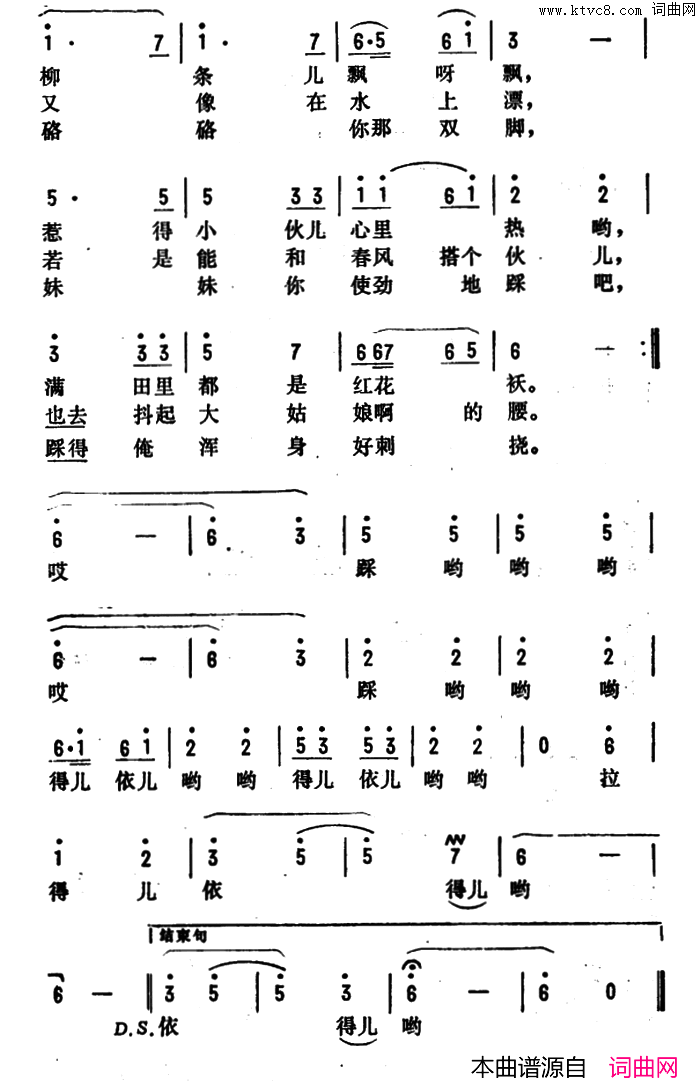 踩格子简谱