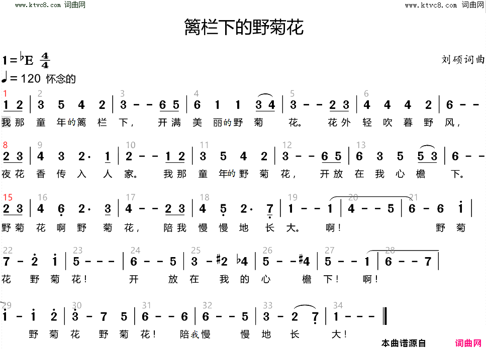 篱栏下的野菊花简谱