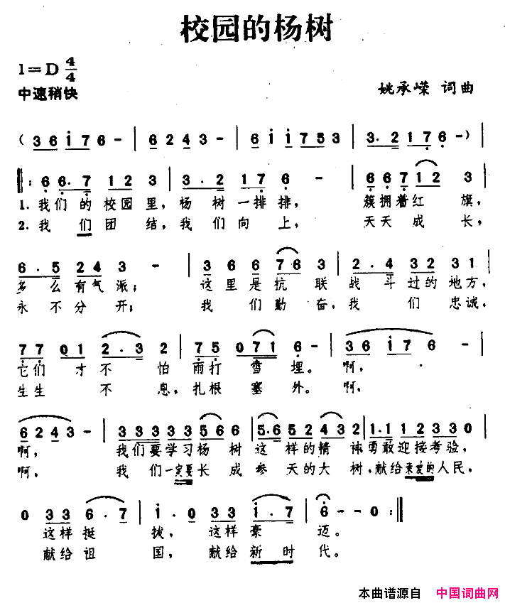 校园的杨树简谱