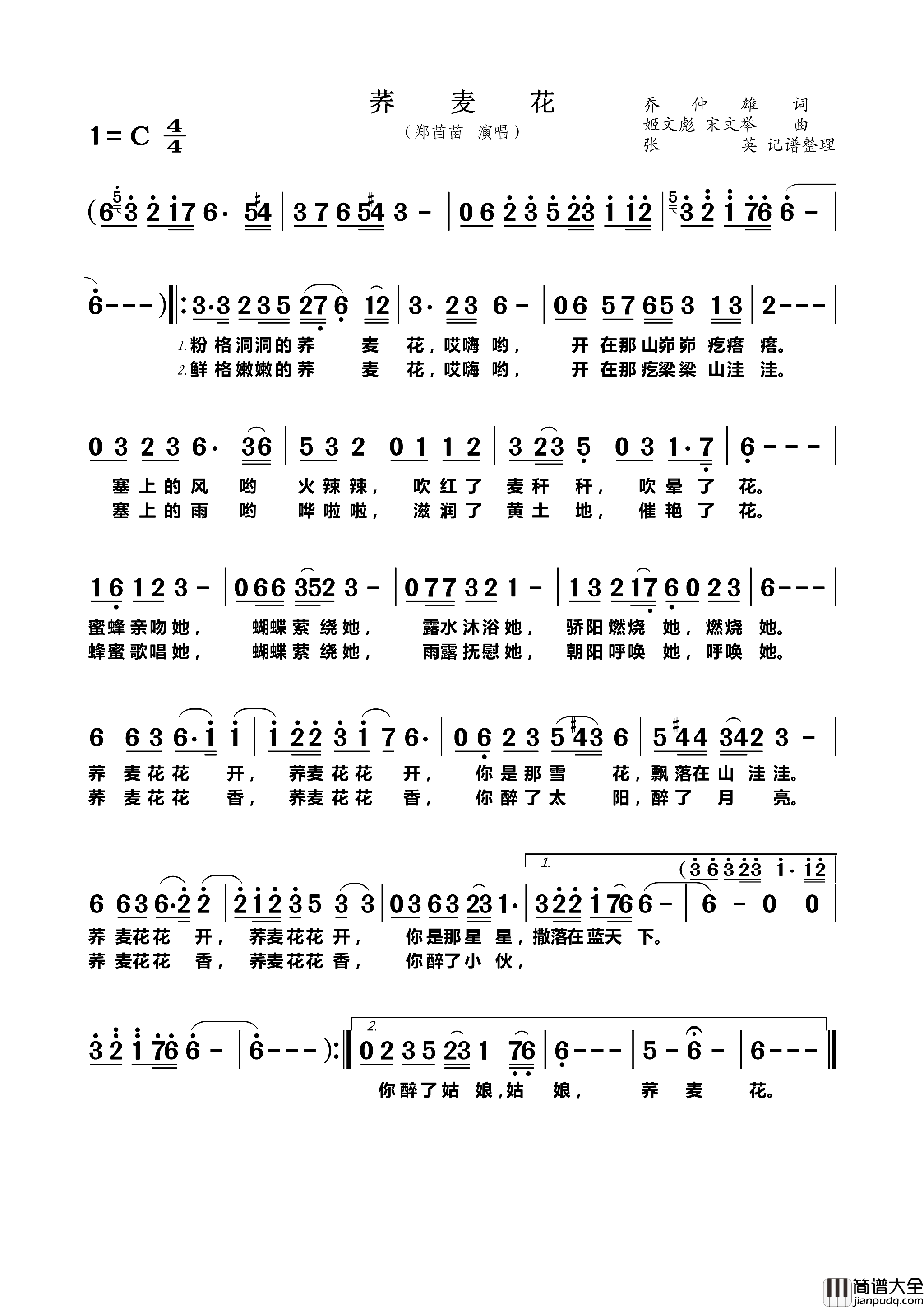 荞麦花简谱_郑苗苗演唱_乔仲雄/姬文彪、宋文举词曲