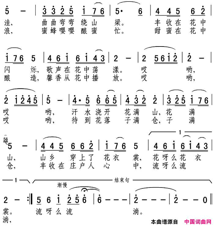 油菜花开一片黄简谱