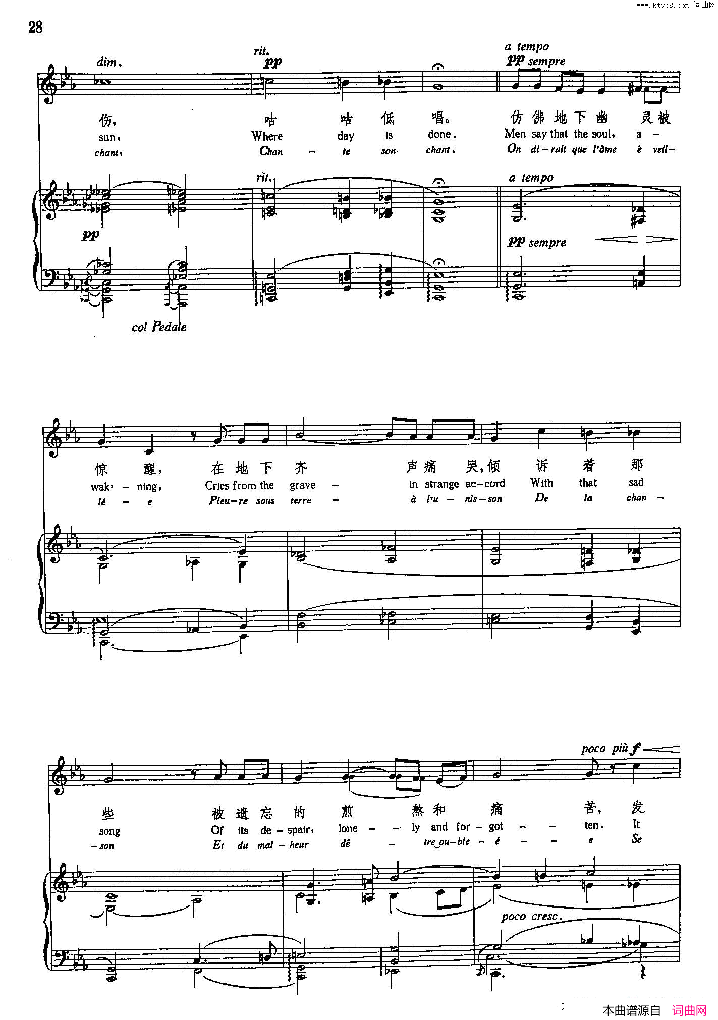 悲哀声乐教学曲库5_5正谱简谱