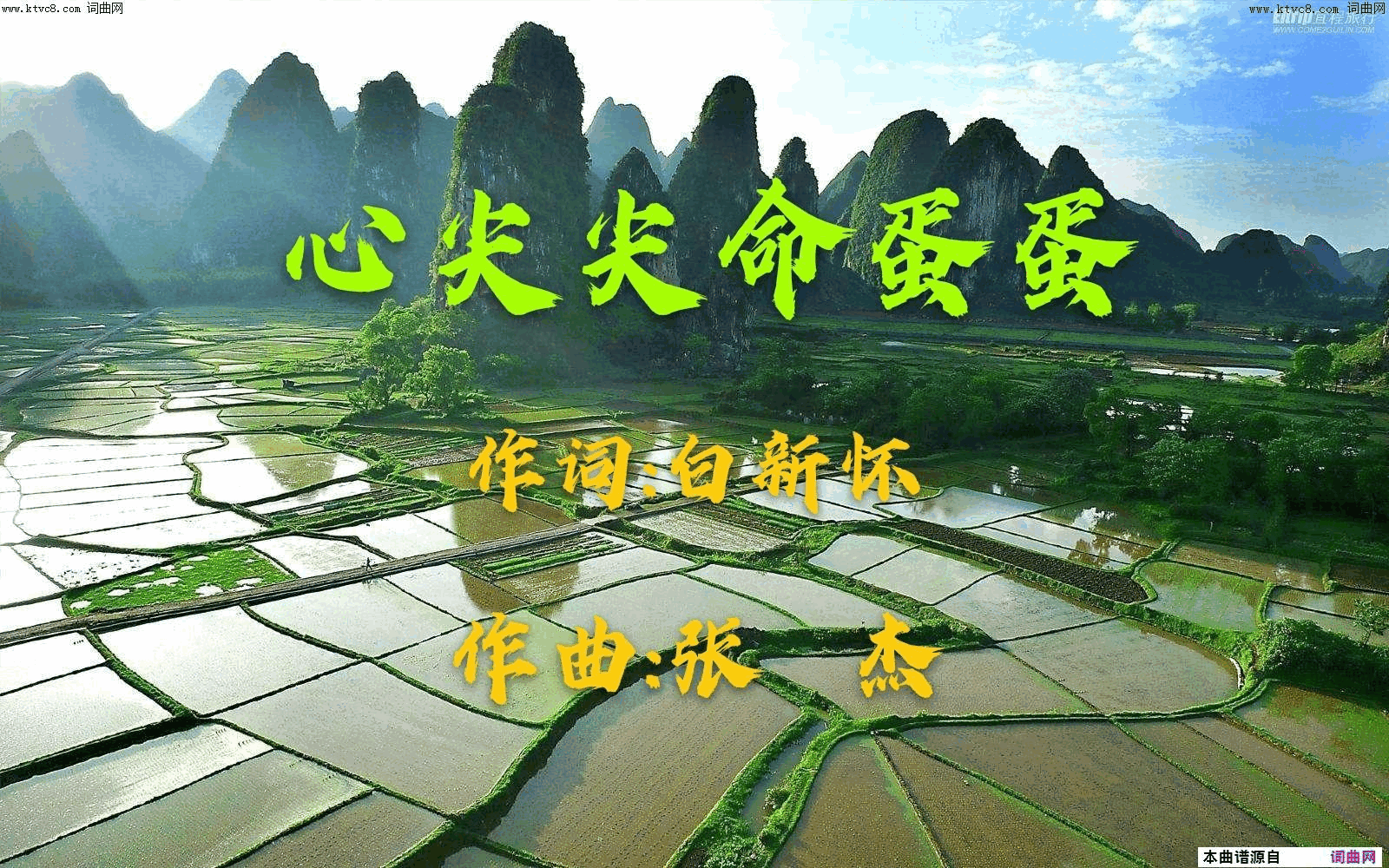 心尖尖命蛋蛋简谱