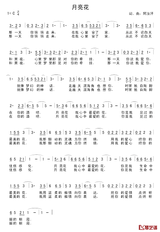 月亮花简谱_阿汝汗词曲