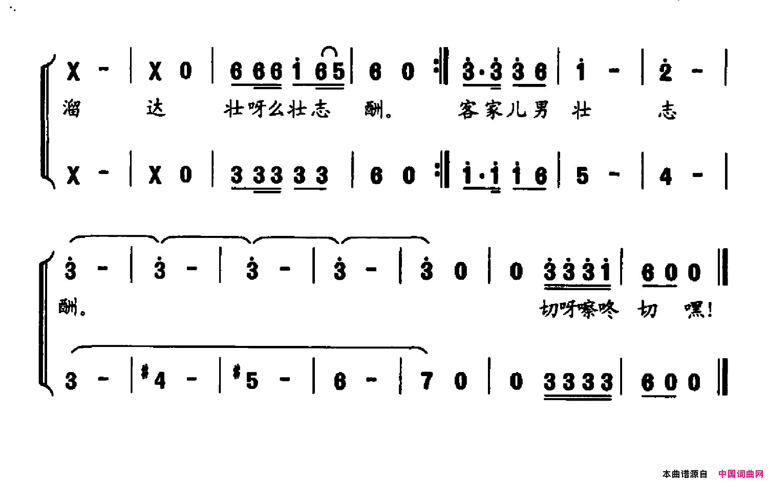 榨茶籽新歌简谱