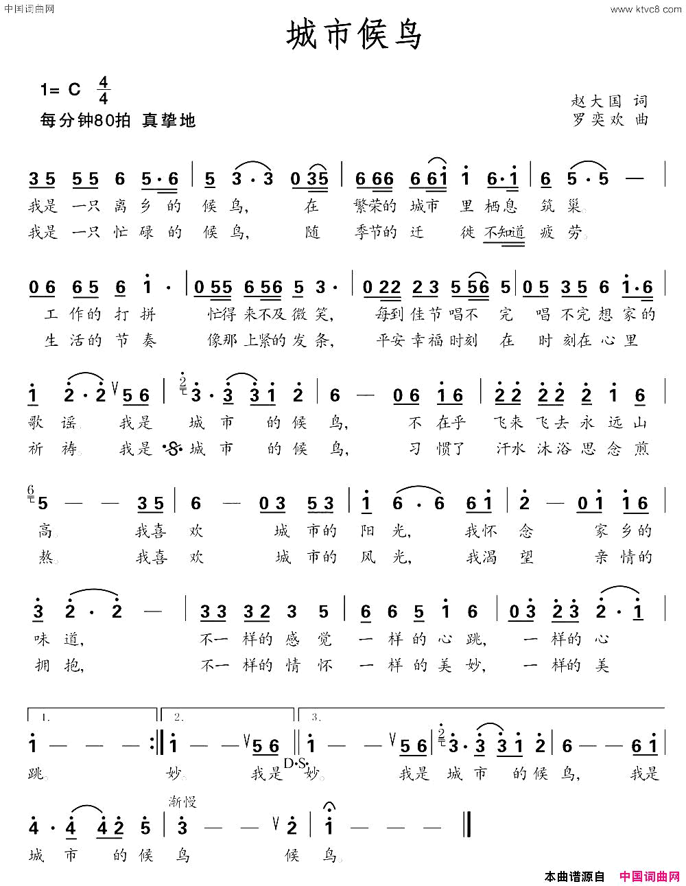 城市候鸟简谱