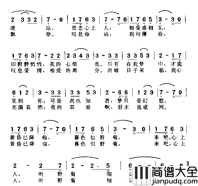 野菊的细语简谱