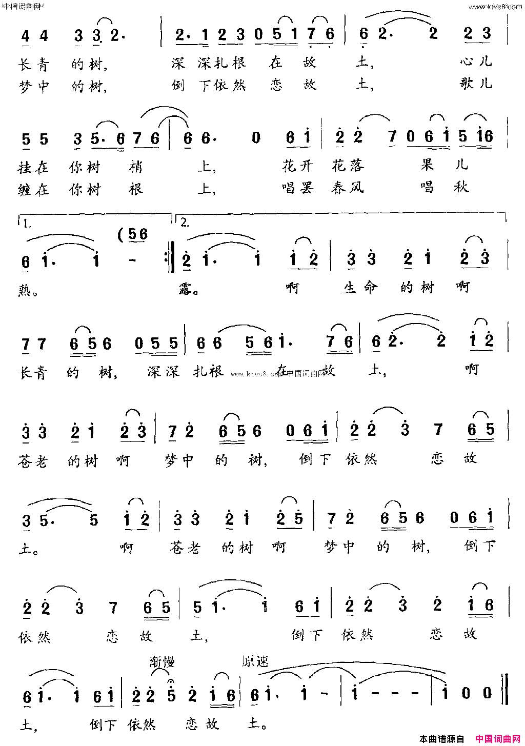 我寻找那棵树简谱