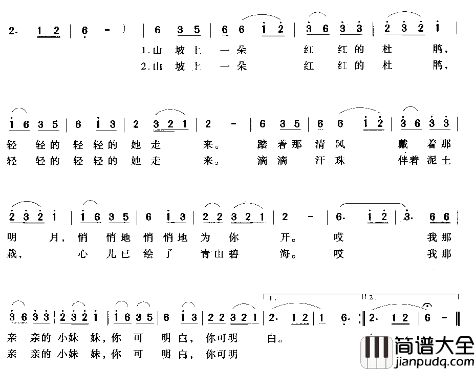 山坡上一朵红杜鹃简谱