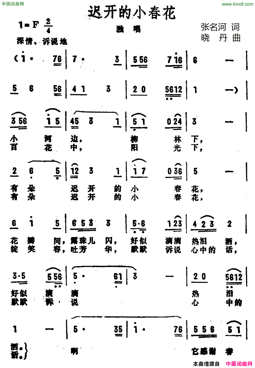 迟开的小春花简谱