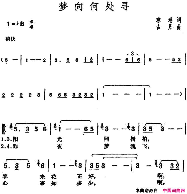 邓丽君演唱金曲：梦向何处寻简谱