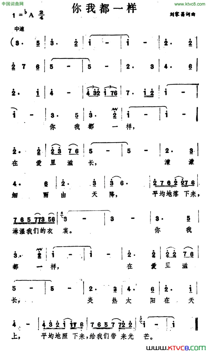 你我都一样简谱