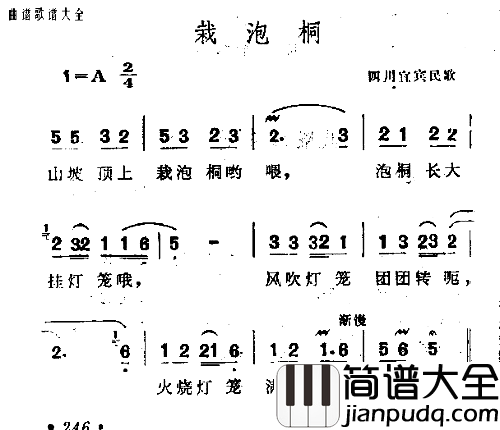 载泡桐简谱