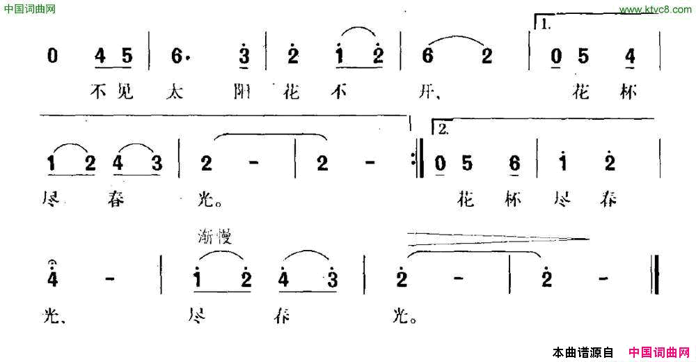 多彩的郁金香简谱