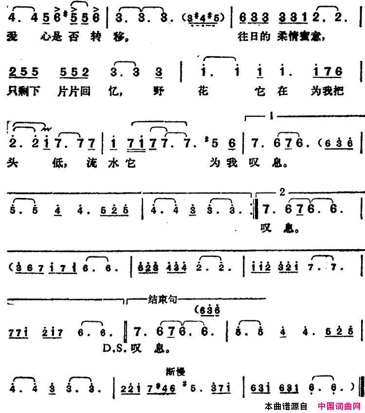 邓丽君演唱金曲：是否简谱_邓丽君演唱_林煌坤/猪俣公章词曲