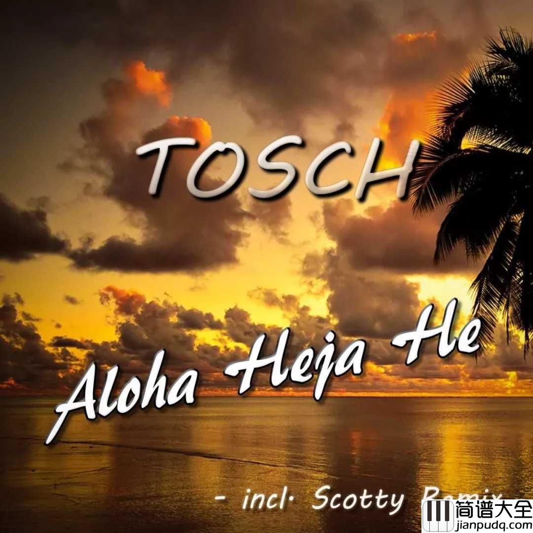 aloha_heja_he吉他谱_它很小众，也不适合浮躁，它属于沧桑和有故事的人