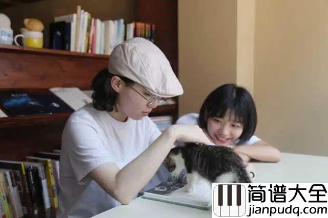 简情歌吉他谱_房东的猫_别忧愁聚散，又何惧放胆