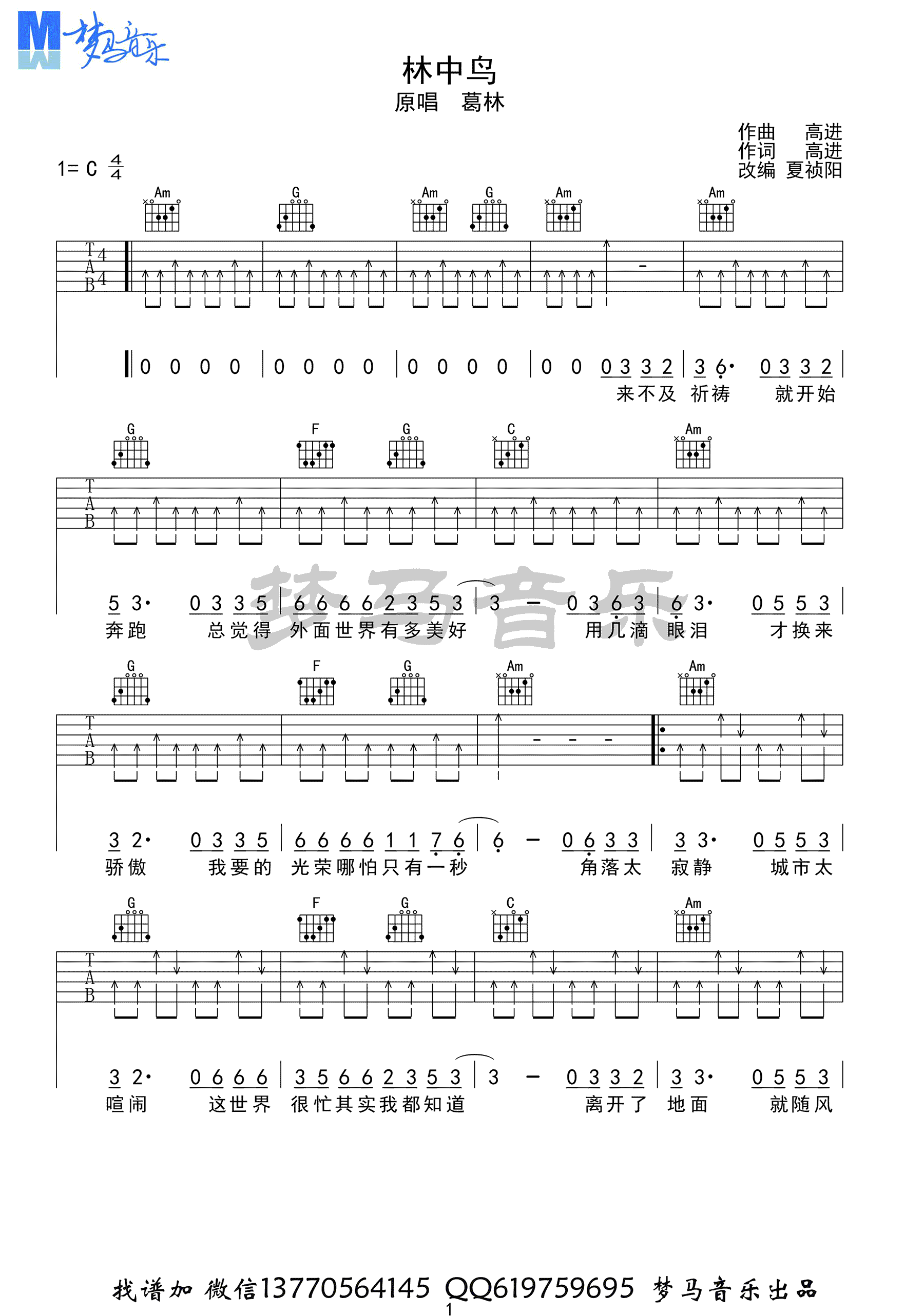 林中鸟吉他谱_葛林_C调弹唱谱_吉他弹唱演示视频