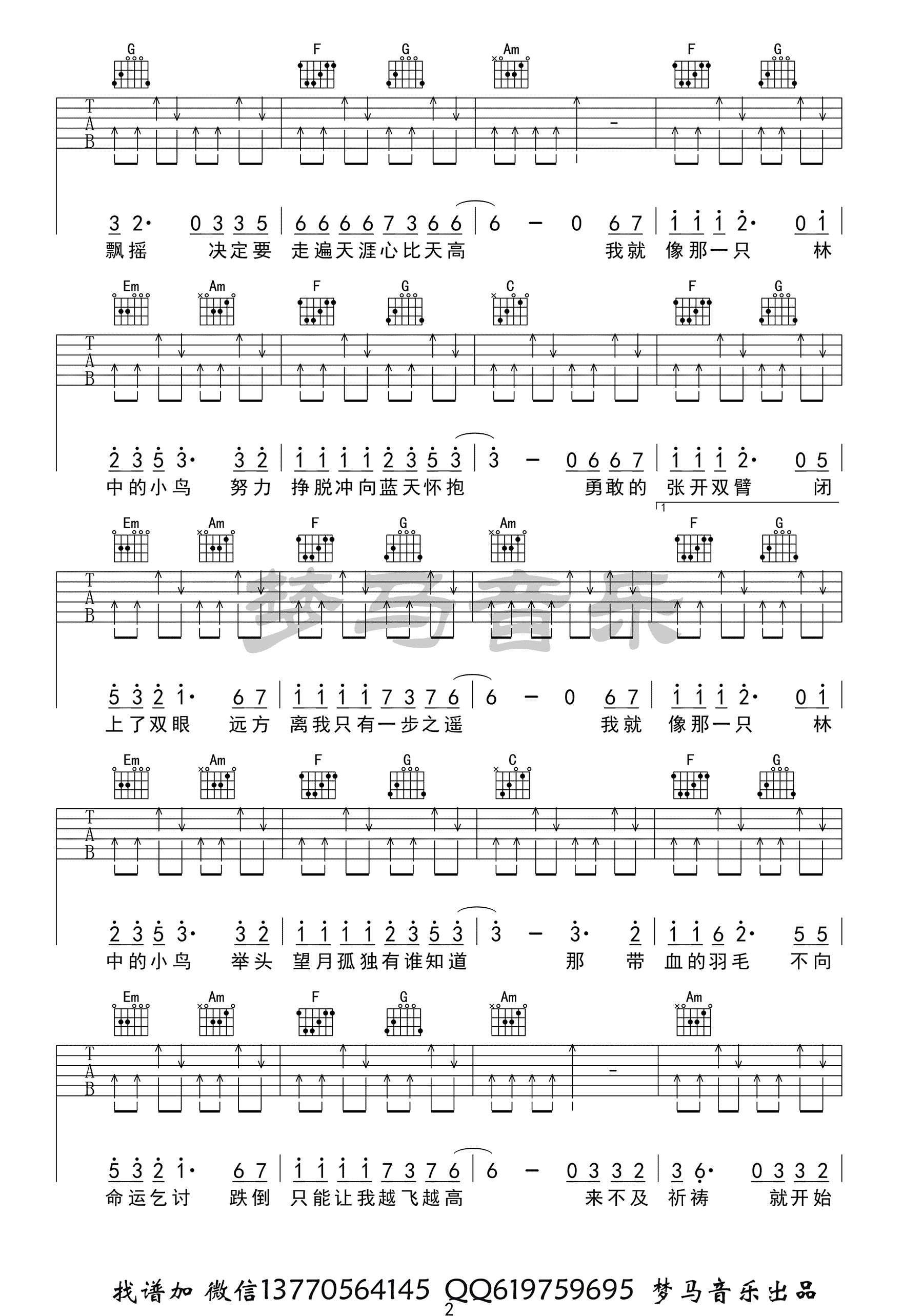 林中鸟吉他谱_葛林_C调弹唱谱_吉他弹唱演示视频