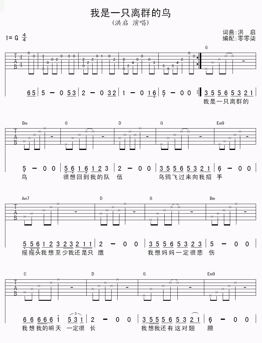 洪启_我是一只离群的鸟吉他谱