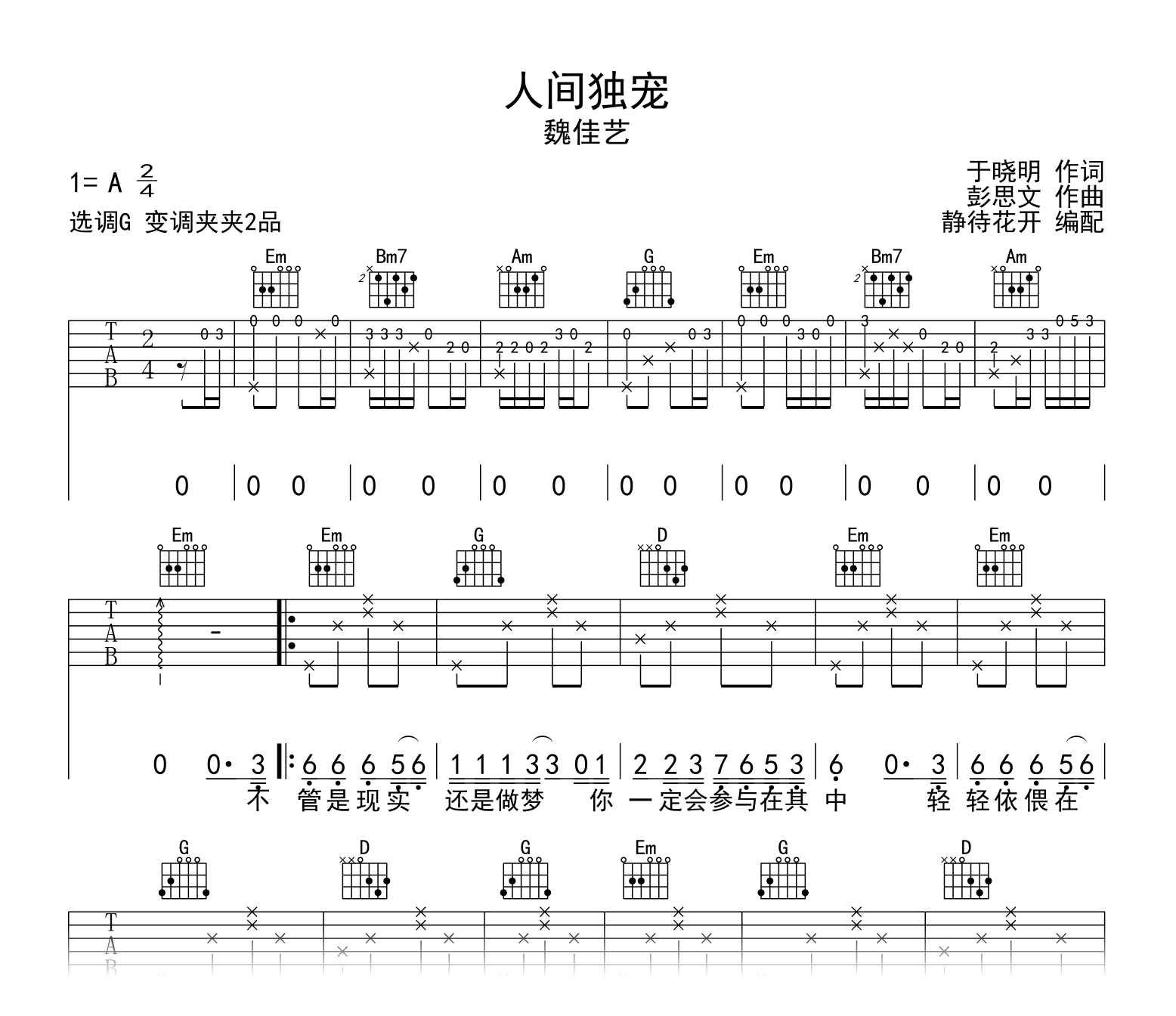 人间独宠吉他谱_魏佳艺_G调指法_弹唱六线谱