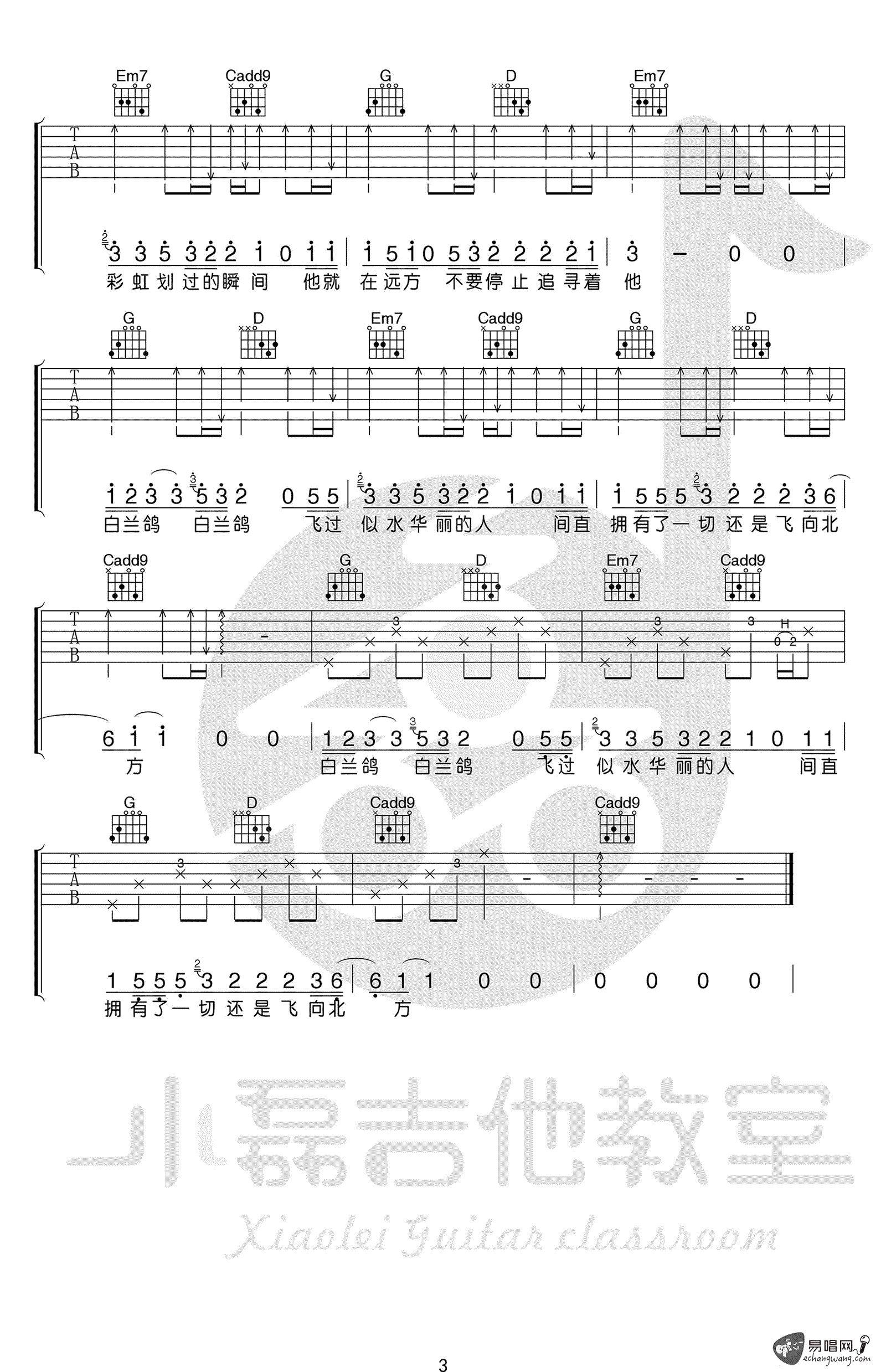 白兰鸽巡游记吉他谱_G调_丢火车乐队_吉他教学视频