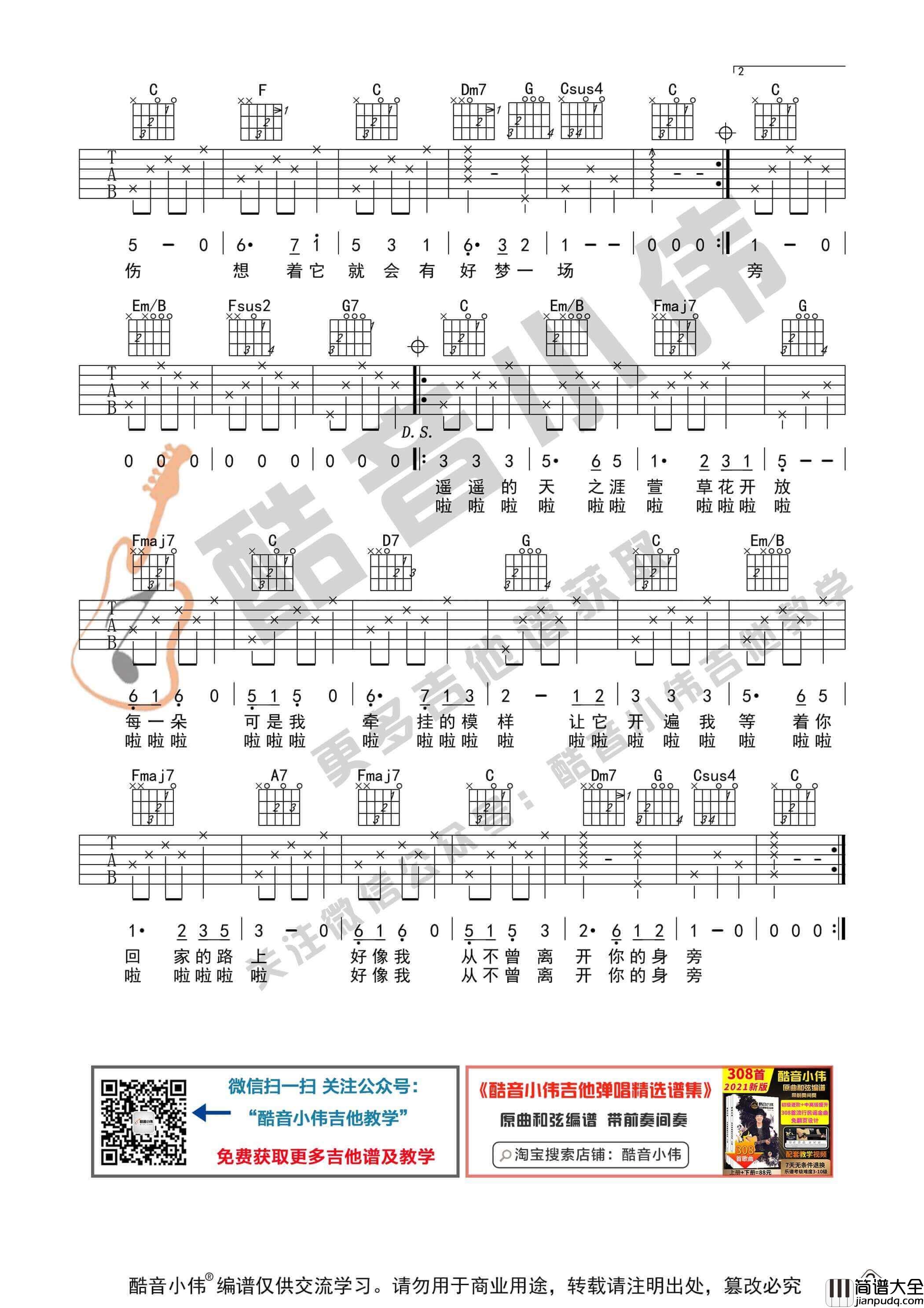 萱草花吉他谱_C调简单版_张小斐