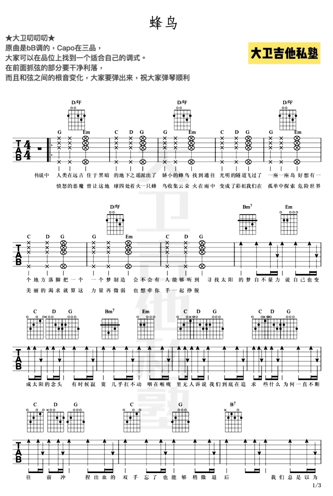 蜂鸟吉他谱_B调六线谱_大卫吉他私垫编配_吴青峰