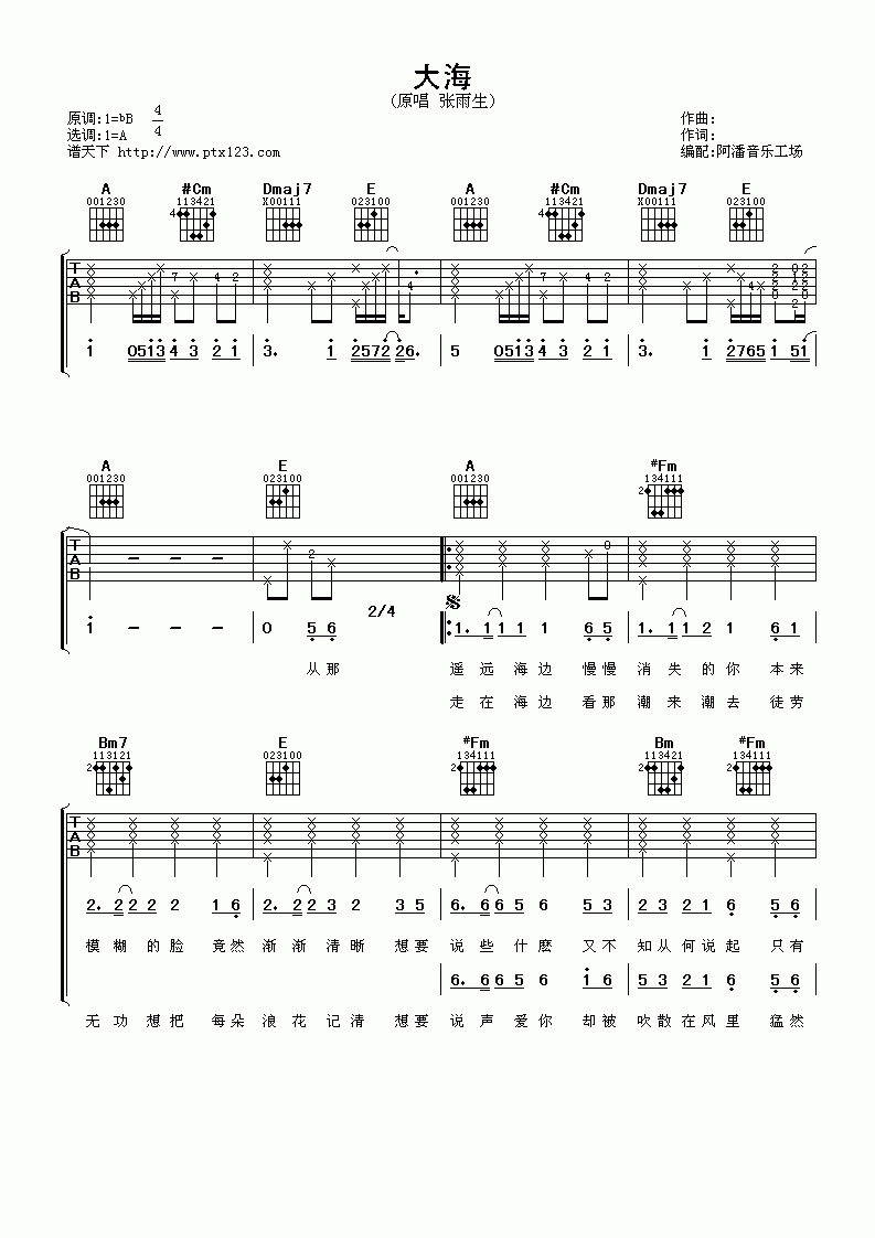 张雨生_大海_吉他谱